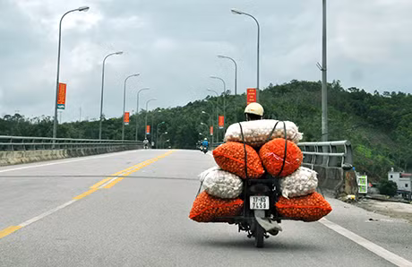 Người điều khiển xe máy “xếp hàng hóa trên xe vượt quá giới hạn quy định”. (Ảnh chụp lúc 9h30 ngày 17-6-2014 tại cầu Vân Đồn, huyện Vân Đồn).