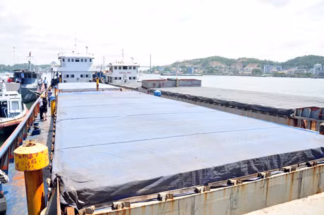 2 tàu vận chuyển khoáng sản bị bẳt giữ.