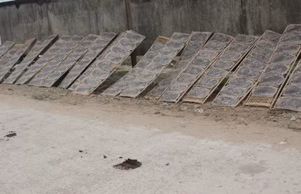 Bánh đa được phơi ngay sát 