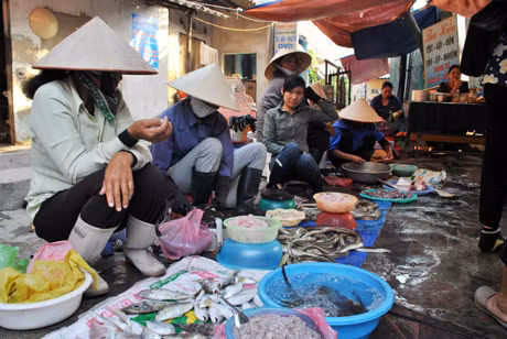 Hải sản tươi sống tại chợ Cột 5 (TP Hạ Long) được bày bán trên những mảnh nilon, bao tải dứa không đảm bảo VSATTP.