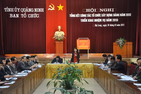 Đồng chí Lê Thị Bích Hường, Ủy viên BTV, Trưởng Ban Tổ chức Tỉnh ủy báo cáo tình hình thực hiện công tác tổ chức, xây dựng Đảng năm 2012