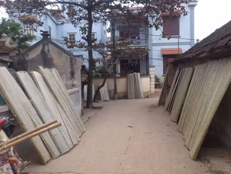 Sắn, dong nguyên liệu được phơi dọc tỉnh lộ để mặc bụi bặm bu bám