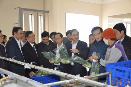 Phó Chủ tịch UBND tỉnh Đặng Huy Hậu kiểm tra một số dự án thuộc chương trình xây dựng nông thôn mới tại Quảng Yên ảnh 2 Phó Chủ tịch UBND tỉnh Đặng Huy Hậu kiểm tra một số dự án thuộc chương trình xây dựng nông thôn mới tại Quảng Yên ảnh 2