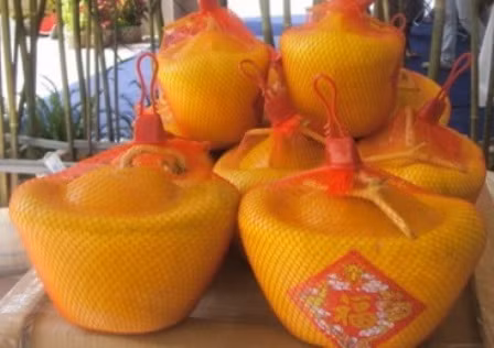 Dưa thỏi vàng nổi chữ “Phước”, “Lộc”.