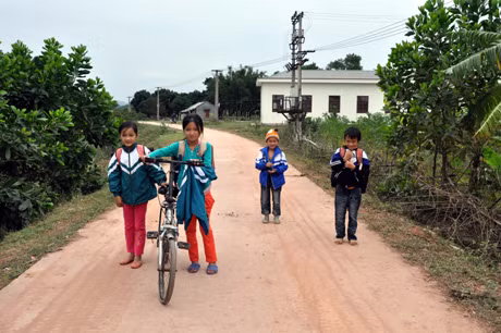 Đường bê tông xuyên đảo.