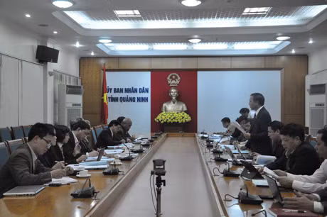 Quang cảnh buôi làm việc 