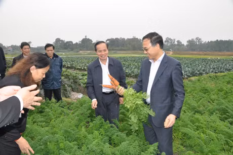 Phó Chủ tịch UBND tỉnh Đặng Huy Hậu kiểm tra một số dự án thuộc chương trình xây dựng nông thôn mới tại Quảng Yên ảnh 1 Phó Chủ tịch UBND tỉnh Đặng Huy Hậu kiểm tra một số dự án thuộc chương trình xây dựng nông thôn mới tại Quảng Yên ảnh 1