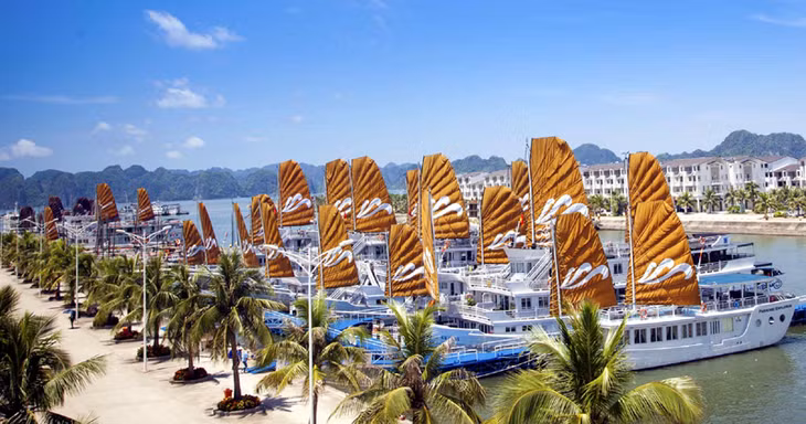 Hiện toàn tỉnh đã có hơn 500 tàu du lịch hoạt động đưa khách tham quan Vịnh Hạ Long. Ảnh: Cảng tàu khách Tuần Châu.