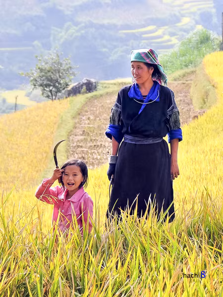  Các bé từ nhỏ cũng phải phụ giúp gia đình. 