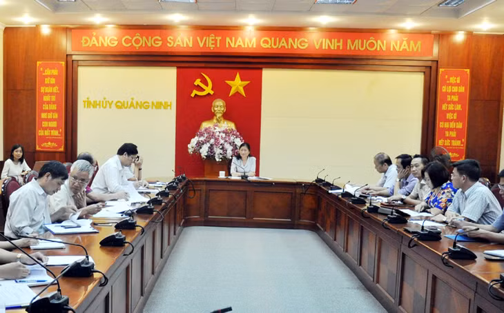 Đồng chí Đỗ Thị Hoàng, Phó Bí thư Thường trực Tỉnh ủy, Trưởng đoàn ĐBQH tỉnh phát biểu tại cuộc họp.