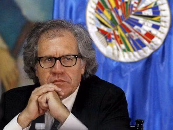  Tổng Thư ký OAS Luis Almagro. (Nguồn: Reuters)