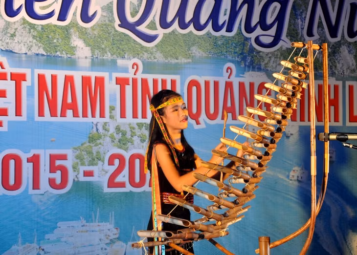 Các phần thi tài năng của các bạn sinh viên.