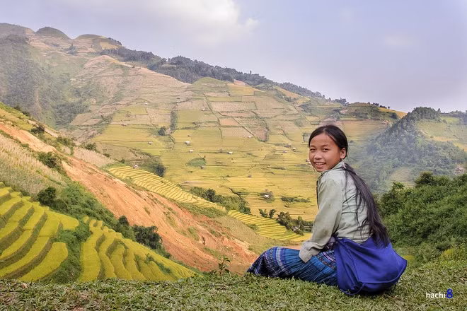  Đường đến trường của các em nhỏ vùng cao cũng chính là những cung bậc mùa vàng. Để đến đây ngắm lúa, du khách xuất phát từ Hà Nội, có thể bắt xe khách lên Yên Bái, rồi thuê xe máy phượt Nghĩa Lộ, Tú Lệ, Văn Chấn trước khi đến Mù Cang Chải.