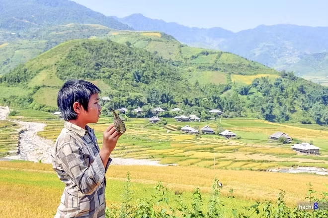  Trò chơi của lũ trẻ luôn gắn với thiên nhiên khoáng đạt và trong lành.
