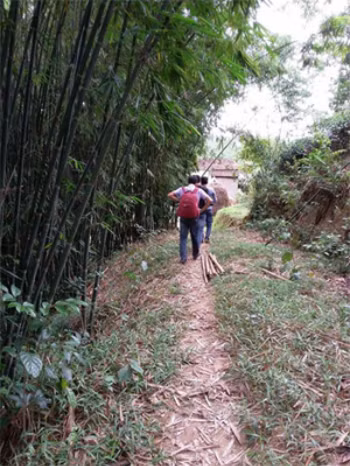 Con đường sau nhà nạn nhân là nơi Mùi bắt đầu chạy trốn vào rừng. Ảnh: Hà Hằng.
