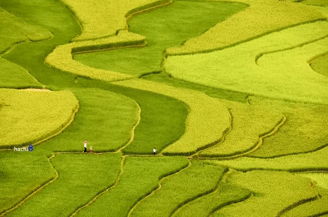  Khung cảnh thu vùng cao rực rỡ sắc màu và trong lành quá đỗi, cùng với đó là những nụ cười sảng khoái của lũ trẻ.