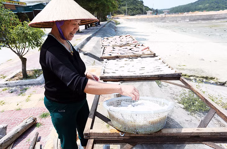 Sản phẩm mực một nắng Cô Tô góp phần khẳng định giá trị hải sản biển của Quảng Ninh.