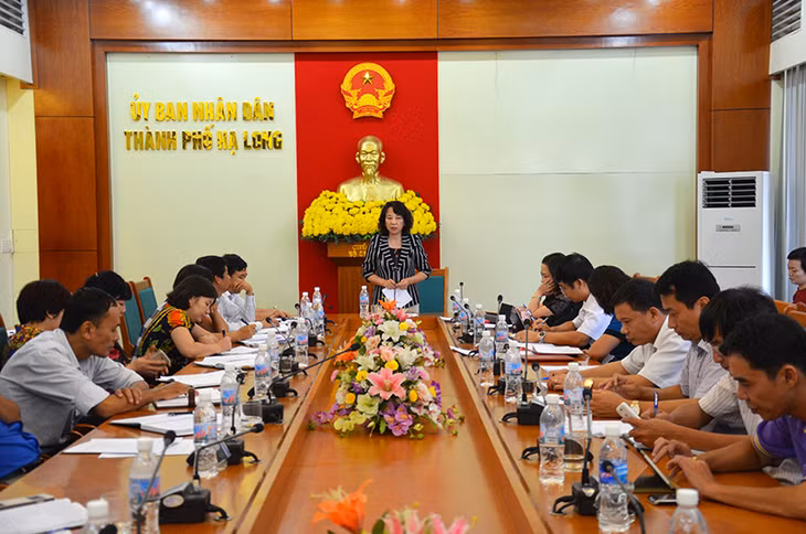 Đồng chí Vũ Thị Thu Thủy, Phó Chủ tịch UBND tỉnh phát biểu tại buổi làm việc