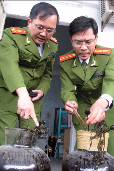  Hai bình rượu loại 30 lít ngâm quả, vỏ, thân cây thuốc phiện