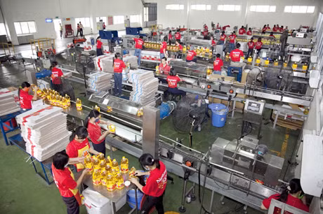 Thu ngân sách của các doanh nghiệp khối FDI trên địa bàn tỉnh năm 2012 vẫn đạt mức tăng trưởng cao Trong ảnh: Sản xuất dầu ăn tại công ty TNHH dầu thực vật Cái Lân). Ảnh: Khánh Giang