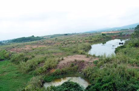 Sau 8 năm triển khaim khu dân cư mới Hải Yên vẫn chưa có đượng một hạ tầng tối thiếu cho một khu đô thị 