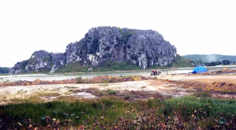 Một góc làng đảo Hoàng Tân.