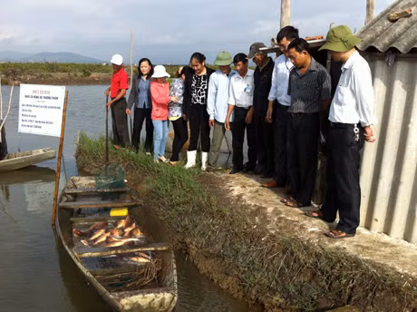Các đại biểu tham quan