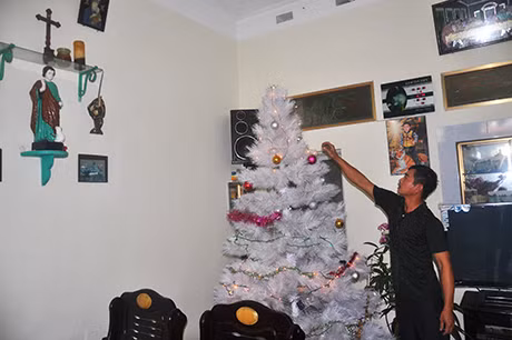 Trang trí cây thông noel.