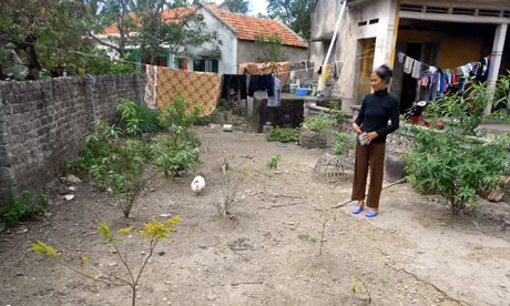 Thiếu nước nên cây cối trong các khu vườn ở thôn Quỳnh Mai nhà nào cũng cằn cỗi...