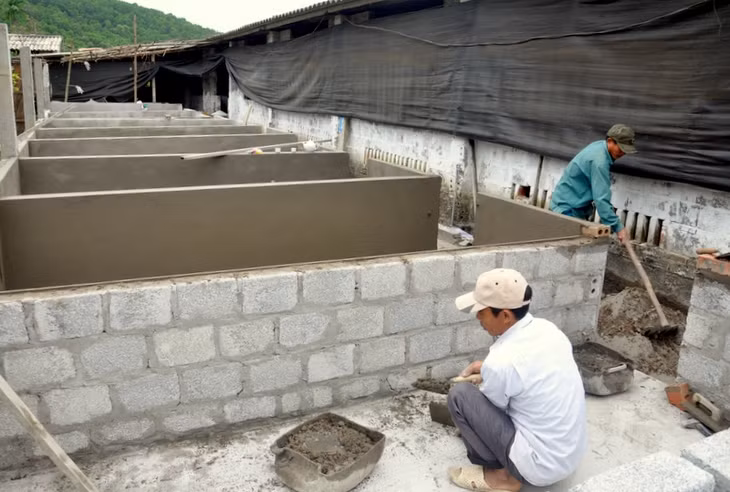 Gia đình anh Đào Hữu Tỉnh, chị Lại Thị Thanh (thôn 2, xã Dân Chủ) – một trong những gia đình triển khai xây dựng hoàn thiện vườn mẫu đang tích cực xây mới và cải tạo hệ thống chuồng trại, làm điểm cho các hộ gia đình khác trong việc xây dựng vườn mẫu.