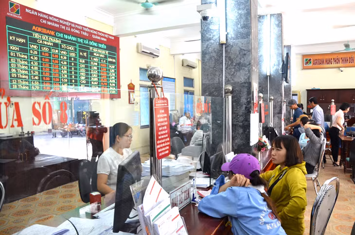Hoạt động tại Chi nhánh Ngân hàng Nông nghiệp và Phát triển Nông thôn TX Đông Triều