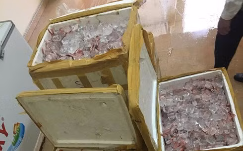 Số thực phẩm được chất đầy trong 10 thùng xốp được phát hiện trên xe khách.