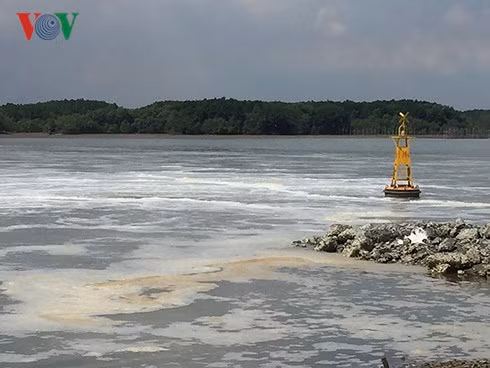 Một khúc sông Thị Vải nước thải được xả ra từ ống ngầm