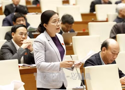 Đại biểu Quốc hội tỉnh Quảng Ninh Đỗ Thị Lan phát biểu ý kiến. Ảnh: Văn Điệp/TTXVN