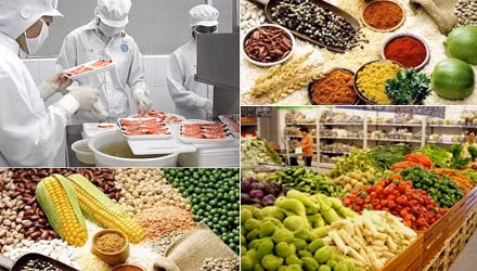Doanh nghiệp được tự công bố sản phẩm thực phẩm và chịu trách nhiệm trước pháp luật về công bố đó. Ảnh minh họa