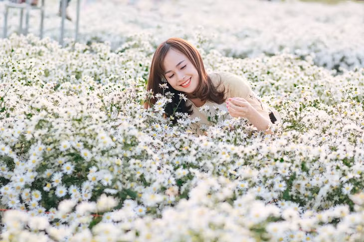 Các bạn trẻ nô nức rủng rỉnh váy áo tới vườn hoa cúc họa mi để chụp lại những khoảnh khắc tinh khôi.