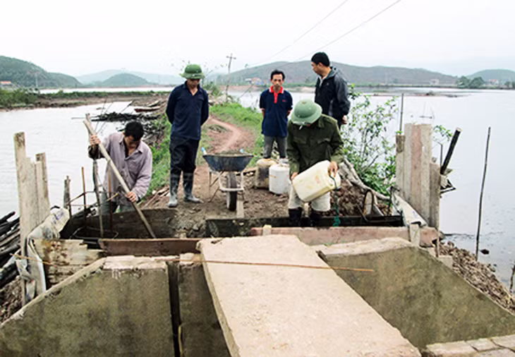 Các hộ nuôi kiểm tra hệ thống tiêu thoát nước tại vùng nuôi tôm xã Hải Lạng chuẩn bị vụ nuôi mới. Ảnh Xuân Thao