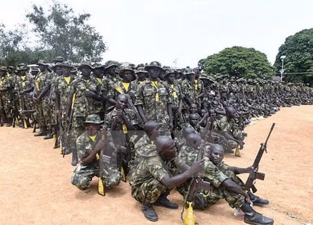 Binh sỹ Nigeria. (Ảnh: Daily Nation/TTXVN)