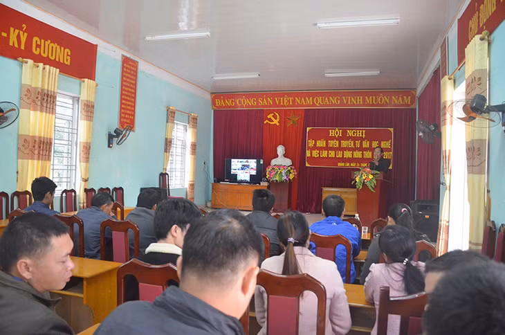 Huyện Đầm Hà tổ chức 