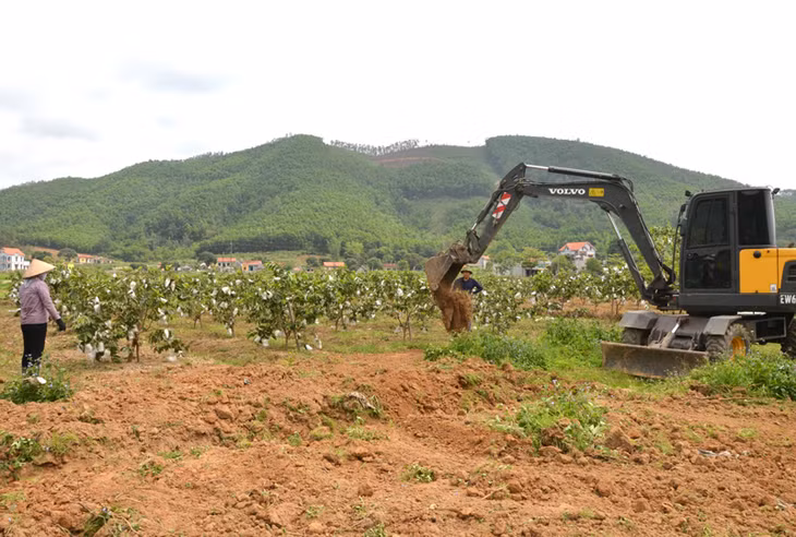 Người dân tích cực đầu tư xây dựng vườn mẫu, phát triển kinh tế hộ gia đình (Trong ảnh: Triển khai xây dựng vườn mẫu của hộ gia đình ông Ân Văn Kim, thôn Đồng Đặng, xã Sơn Dương, Hoành Bồ)