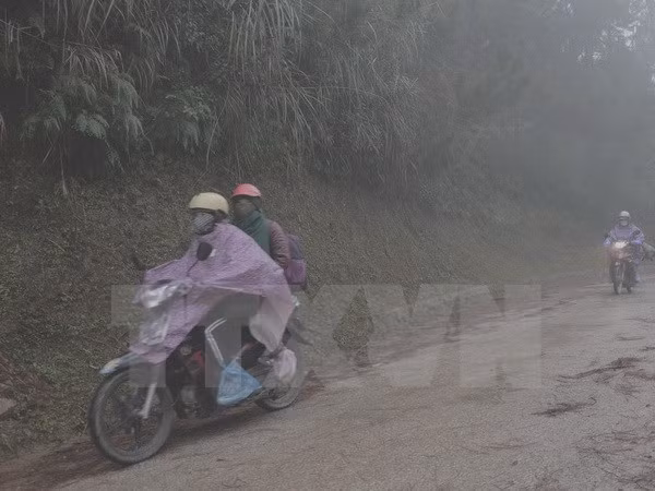 (Ảnh minh họa: Văn Dũng/TTXVN)
