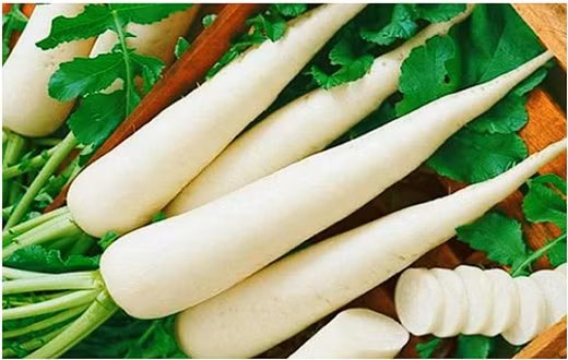 Củ cải trắng