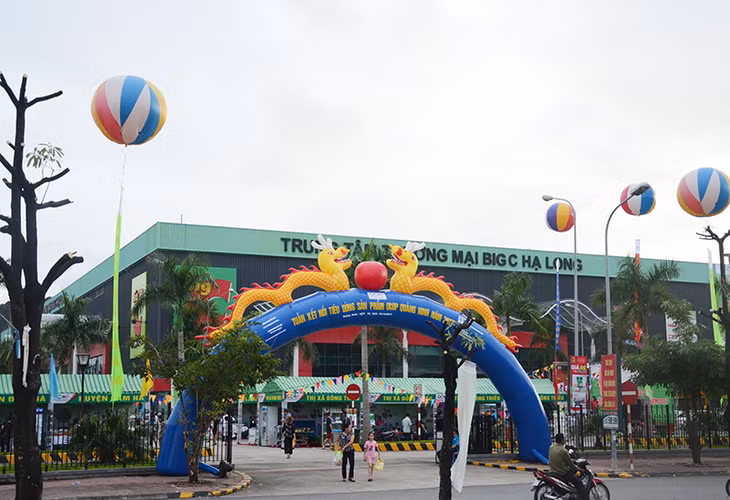 Việc tổ chức