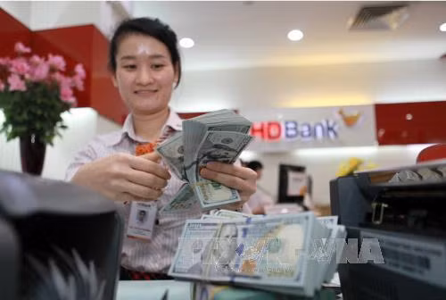 Cho vay ngoại tệ trong hệ thống ngân hàng sẽ tiếp tục được triển khai trong năm 2018. Ảnh: Trần Việt/TTXVN