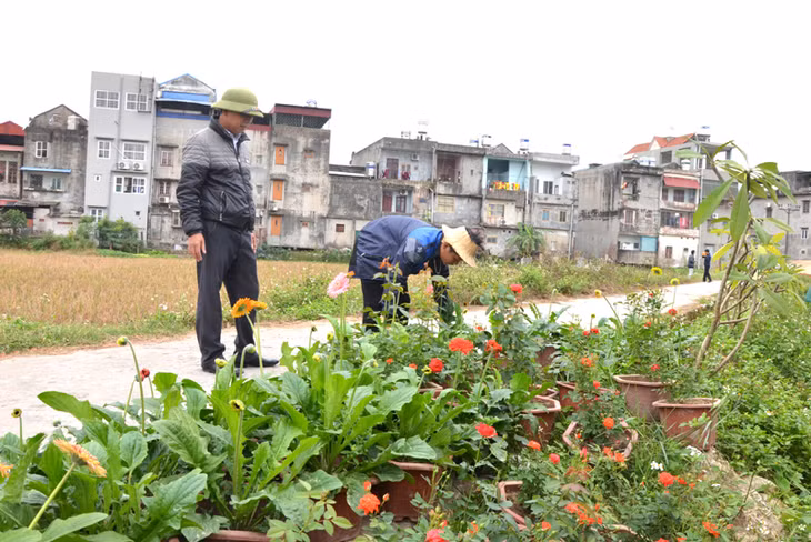 Xã viên của HTX hoa Phước Long chuẩn bị hàng hóa cho Tuần kết nối tiêu dùng sản phẩm OCOP tháng 11/2017