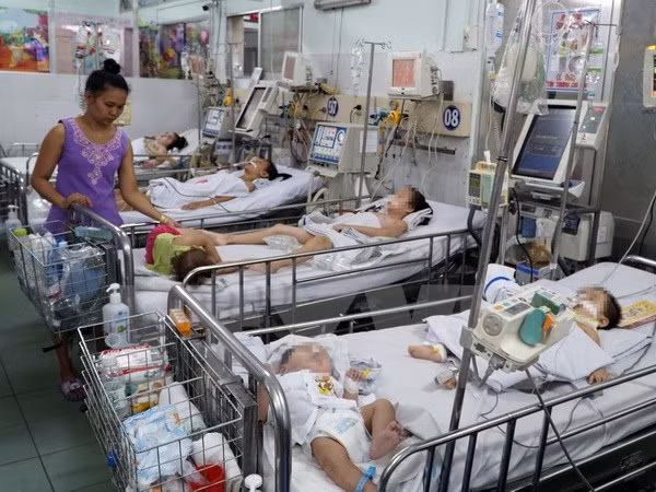 (Ảnh minh họa: Phương Vy/TTXVN)