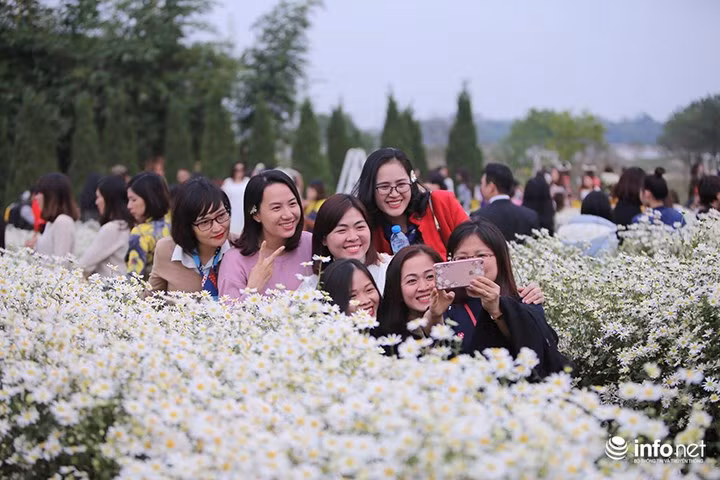 Nhìn những thảm hoa trắng tinh khôi khiến ai cũng muốn hoà mình vào trong đó để chụp những tấm hình kỷ niệm.