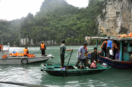 Sau khi được đồng chí Phó Chủ tịch tỉnh cùng TP Hạ Long vận động, bà con ngư dân làng chài Vung Viêng, Ba Hang đã hiểu và trước mắt đưa đưa toàn bộ người già, trẻ nhỏ vào bờ tránh trú bão.