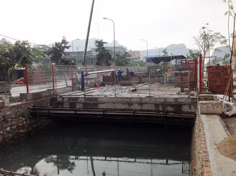 Công trình siêu thị sinh vật cảnh được thi công bằng công nghệ bê tông sàn bóng chịu lực cao.