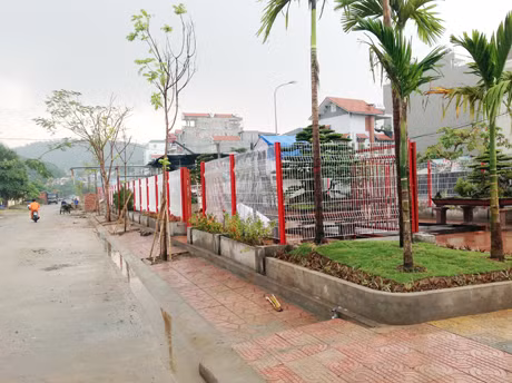 Công trình siêu thị sinh vật cảnh hoàn thành 40% khối lượng công trình.